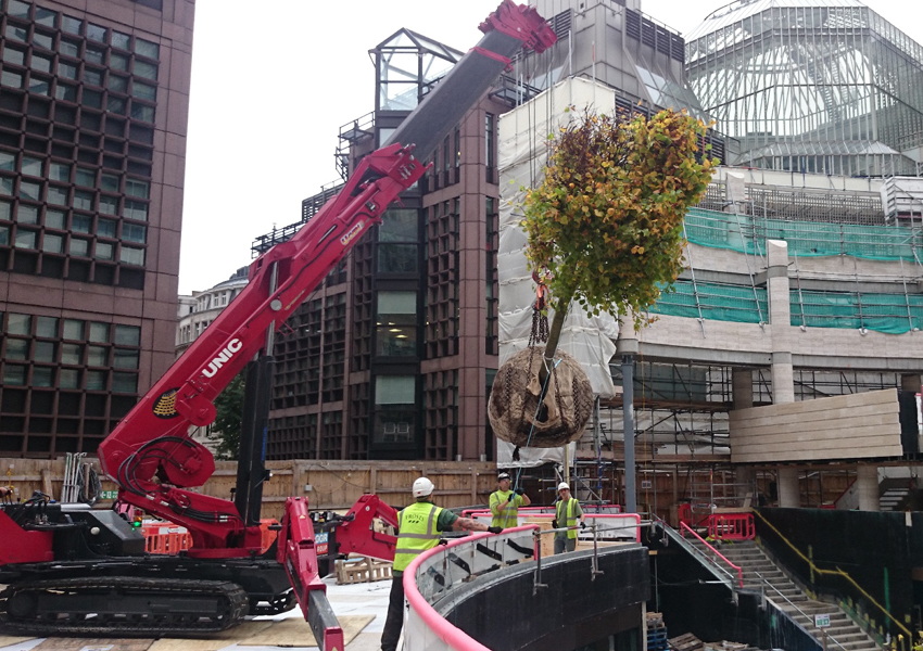 1006-tree-lift-london-1.jpg